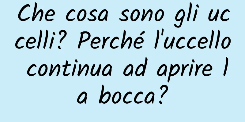 Che cosa sono gli uccelli? Perché l'uccello continua ad aprire la bocca?