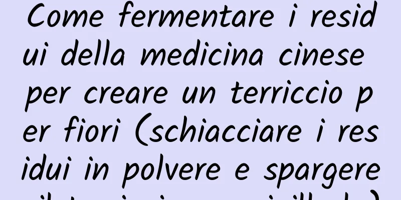 Come fermentare i residui della medicina cinese per creare un terriccio per fiori (schiacciare i residui in polvere e spargere il terriccio per sigillarlo)