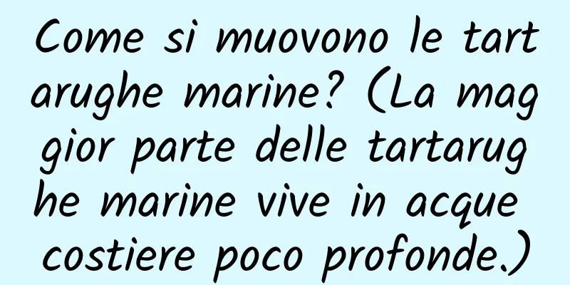 Come si muovono le tartarughe marine? (La maggior parte delle tartarughe marine vive in acque costiere poco profonde.)