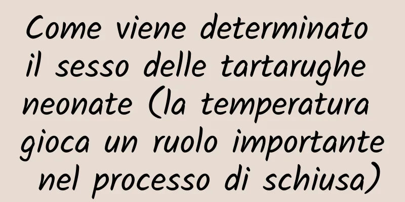 Come viene determinato il sesso delle tartarughe neonate (la temperatura gioca un ruolo importante nel processo di schiusa)