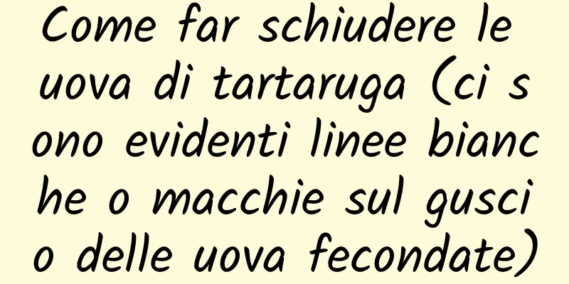 Come far schiudere le uova di tartaruga (ci sono evidenti linee bianche o macchie sul guscio delle uova fecondate)