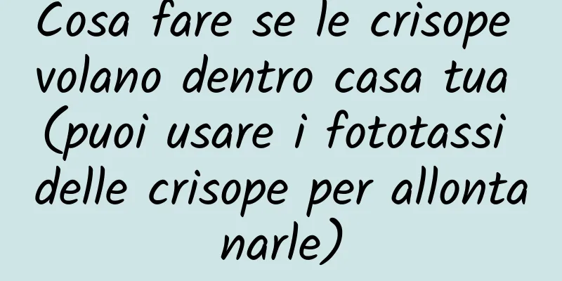 Cosa fare se le crisope volano dentro casa tua (puoi usare i fototassi delle crisope per allontanarle)