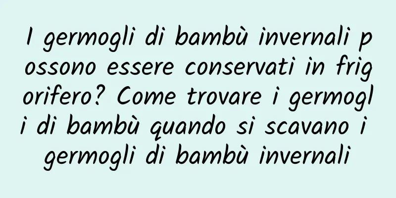 I germogli di bambù invernali possono essere conservati in frigorifero? Come trovare i germogli di bambù quando si scavano i germogli di bambù invernali