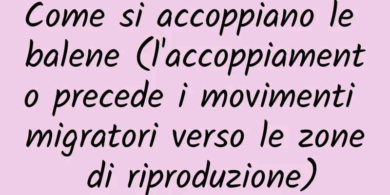 Come si accoppiano le balene (l'accoppiamento precede i movimenti migratori verso le zone di riproduzione)