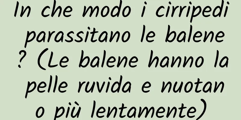 In che modo i cirripedi parassitano le balene? (Le balene hanno la pelle ruvida e nuotano più lentamente)