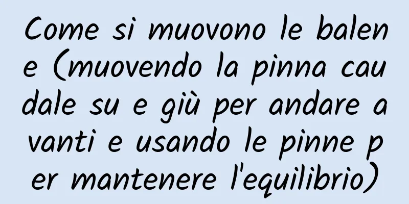 Come si muovono le balene (muovendo la pinna caudale su e giù per andare avanti e usando le pinne per mantenere l'equilibrio)