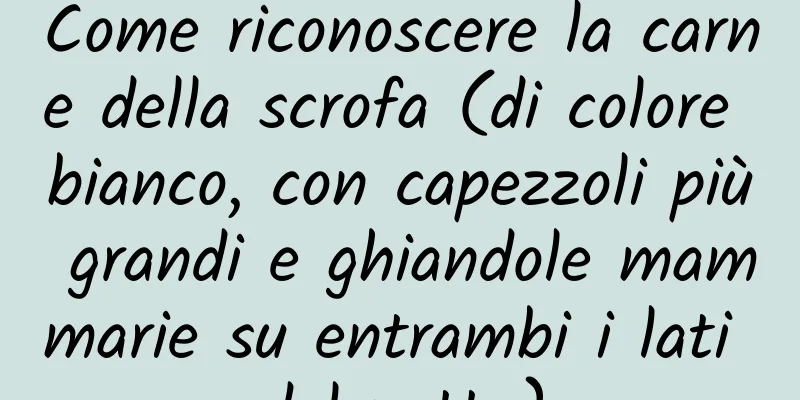 Come riconoscere la carne della scrofa (di colore bianco, con capezzoli più grandi e ghiandole mammarie su entrambi i lati del petto)