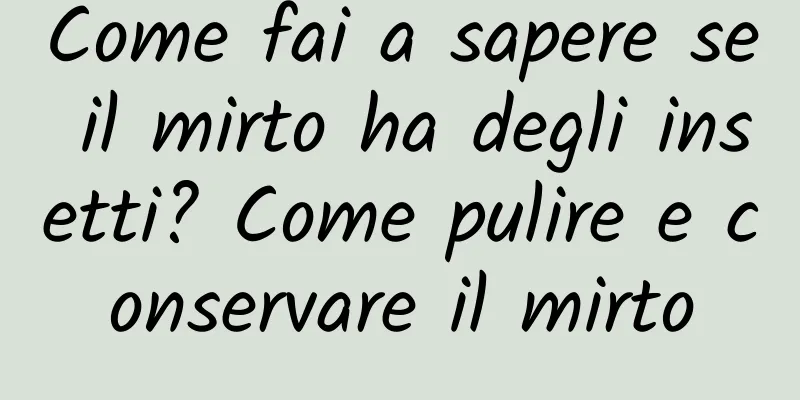Come fai a sapere se il mirto ha degli insetti? Come pulire e conservare il mirto