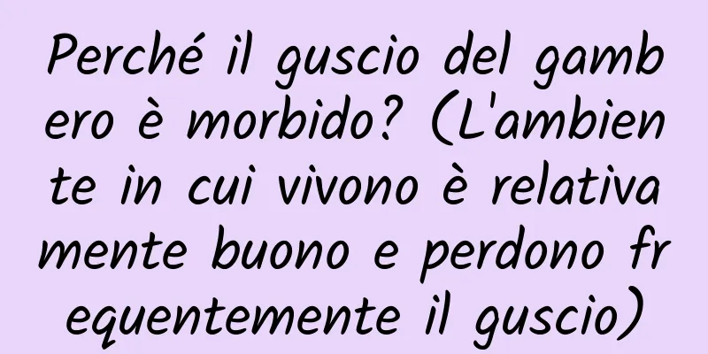 Perché il guscio del gambero è morbido? (L'ambiente in cui vivono è relativamente buono e perdono frequentemente il guscio)