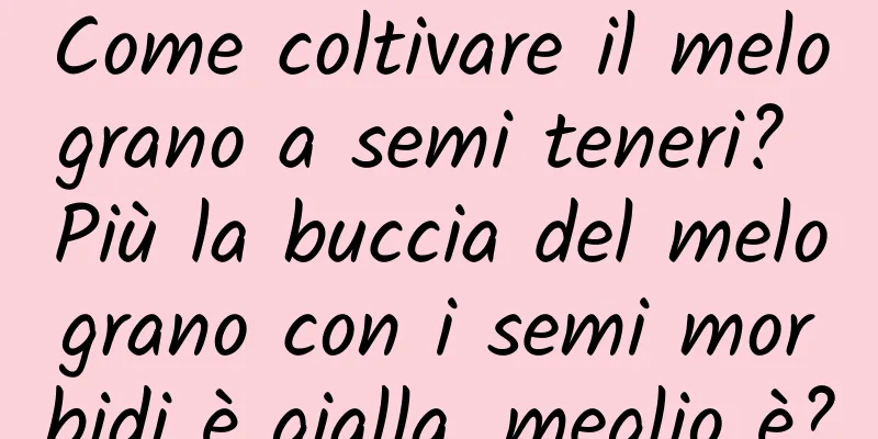 Come coltivare il melograno a semi teneri? Più la buccia del melograno con i semi morbidi è gialla, meglio è?