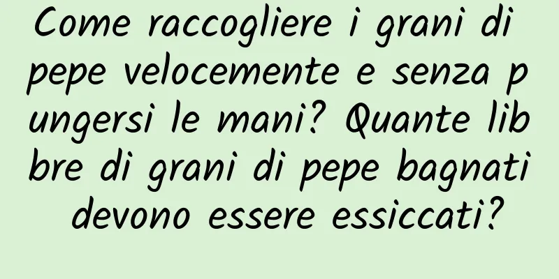 Come raccogliere i grani di pepe velocemente e senza pungersi le mani? Quante libbre di grani di pepe bagnati devono essere essiccati?