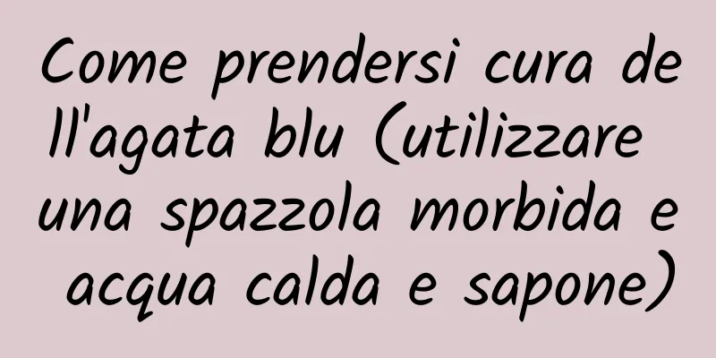 Come prendersi cura dell'agata blu (utilizzare una spazzola morbida e acqua calda e sapone)