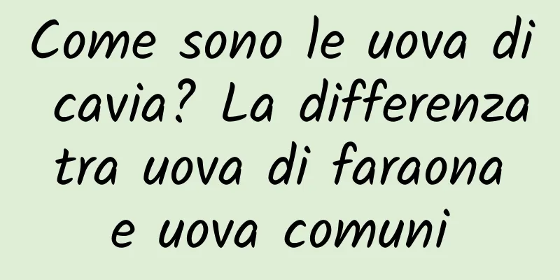 Come sono le uova di cavia? La differenza tra uova di faraona e uova comuni