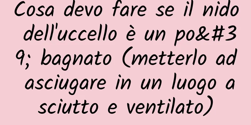 Cosa devo fare se il nido dell'uccello è un po' bagnato (metterlo ad asciugare in un luogo asciutto e ventilato)