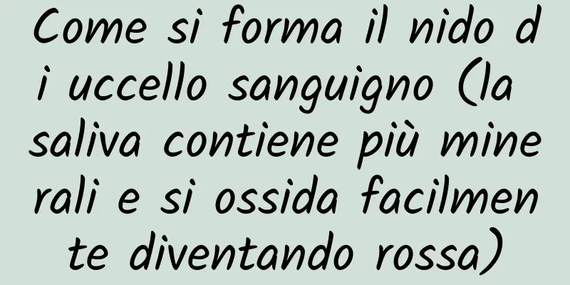 Come si forma il nido di uccello sanguigno (la saliva contiene più minerali e si ossida facilmente diventando rossa)
