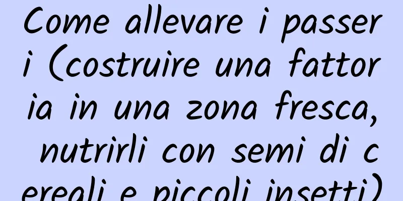 Come allevare i passeri (costruire una fattoria in una zona fresca, nutrirli con semi di cereali e piccoli insetti)