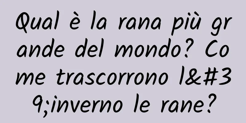 Qual è la rana più grande del mondo? Come trascorrono l'inverno le rane?