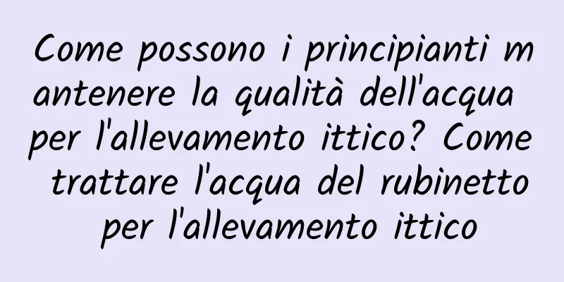 Come possono i principianti mantenere la qualità dell'acqua per l'allevamento ittico? Come trattare l'acqua del rubinetto per l'allevamento ittico
