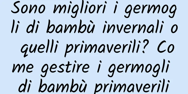 Sono migliori i germogli di bambù invernali o quelli primaverili? Come gestire i germogli di bambù primaverili