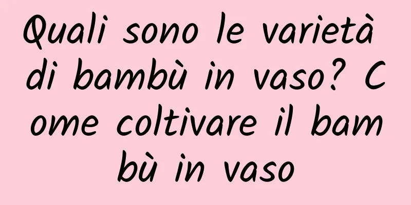 Quali sono le varietà di bambù in vaso? Come coltivare il bambù in vaso