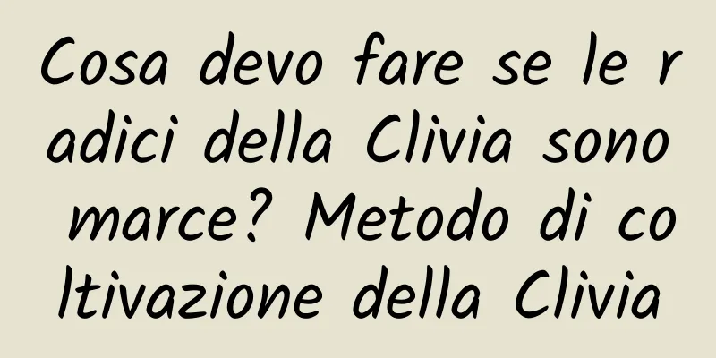 Cosa devo fare se le radici della Clivia sono marce? Metodo di coltivazione della Clivia