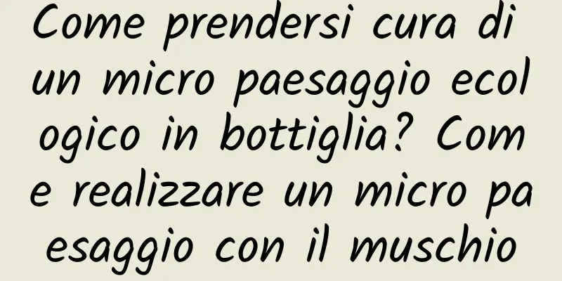 Come prendersi cura di un micro paesaggio ecologico in bottiglia? Come realizzare un micro paesaggio con il muschio