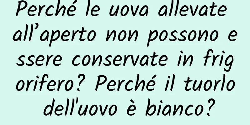 Perché le uova allevate all’aperto non possono essere conservate in frigorifero? Perché il tuorlo dell'uovo è bianco?