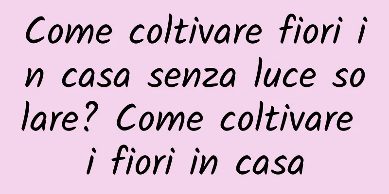 Come coltivare fiori in casa senza luce solare? Come coltivare i fiori in casa