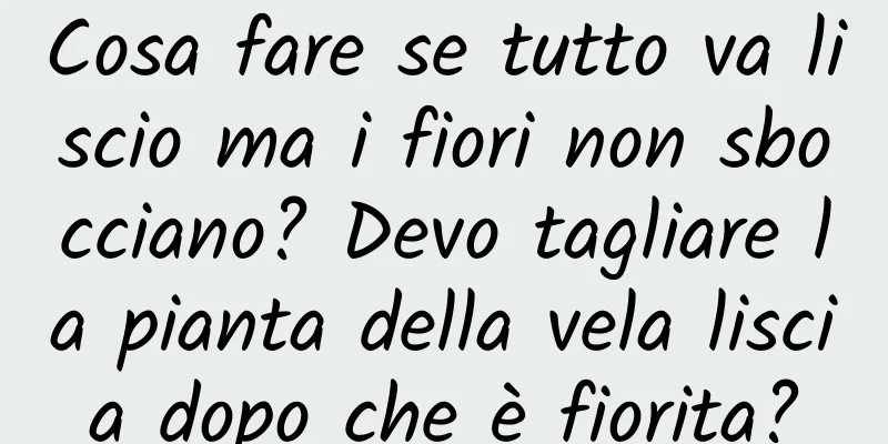 Cosa fare se tutto va liscio ma i fiori non sbocciano? Devo tagliare la pianta della vela liscia dopo che è fiorita?
