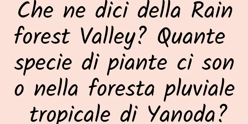 Che ne dici della Rainforest Valley? Quante specie di piante ci sono nella foresta pluviale tropicale di Yanoda?