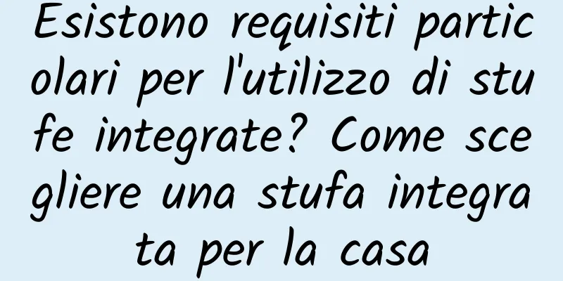Esistono requisiti particolari per l'utilizzo di stufe integrate? Come scegliere una stufa integrata per la casa