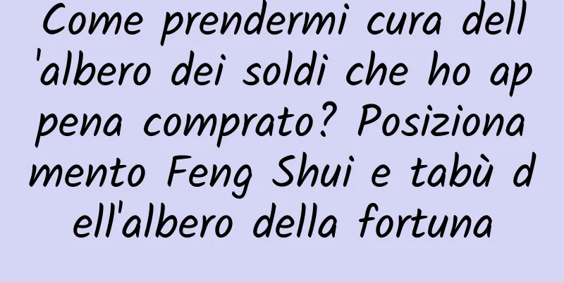 Come prendermi cura dell'albero dei soldi che ho appena comprato? Posizionamento Feng Shui e tabù dell'albero della fortuna