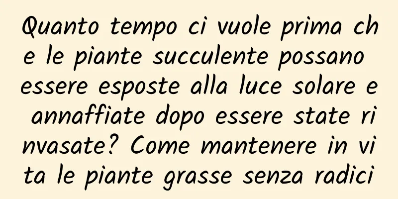 Quanto tempo ci vuole prima che le piante succulente possano essere esposte alla luce solare e annaffiate dopo essere state rinvasate? Come mantenere in vita le piante grasse senza radici