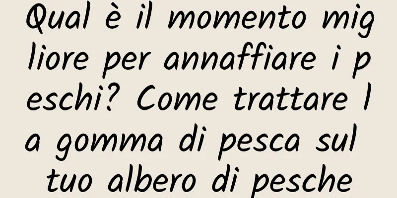 Qual è il momento migliore per annaffiare i peschi? Come trattare la gomma di pesca sul tuo albero di pesche