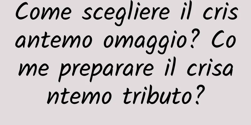 Come scegliere il crisantemo omaggio? Come preparare il crisantemo tributo?