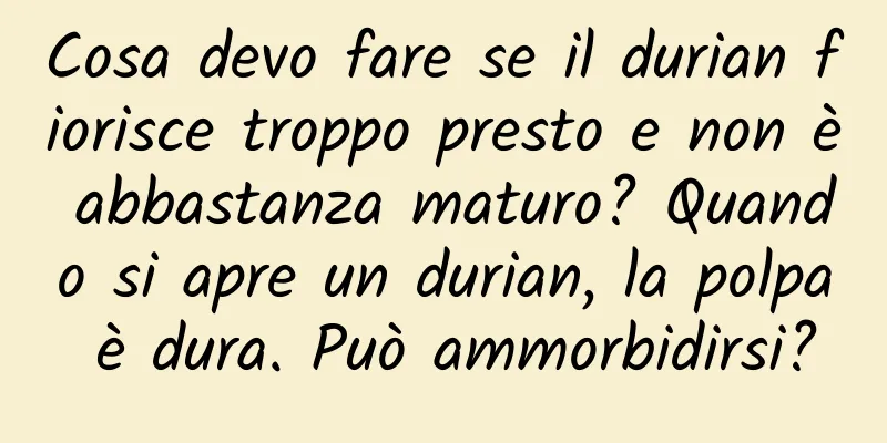 Cosa devo fare se il durian fiorisce troppo presto e non è abbastanza maturo? Quando si apre un durian, la polpa è dura. Può ammorbidirsi?