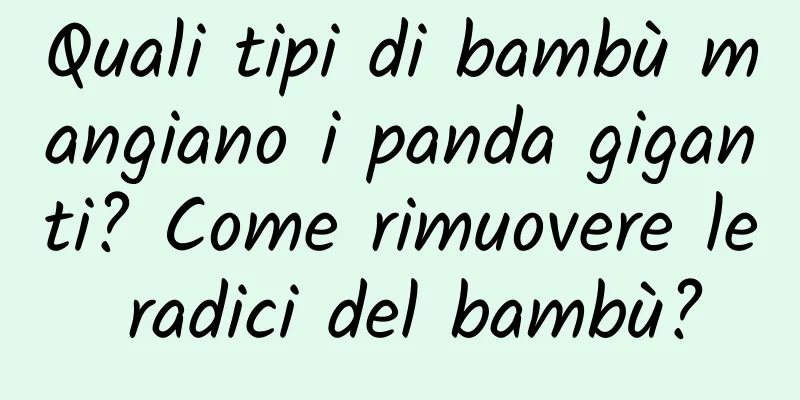 Quali tipi di bambù mangiano i panda giganti? Come rimuovere le radici del bambù?