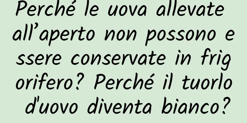 Perché le uova allevate all’aperto non possono essere conservate in frigorifero? Perché il tuorlo d'uovo diventa bianco?