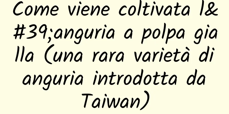 Come viene coltivata l'anguria a polpa gialla (una rara varietà di anguria introdotta da Taiwan)