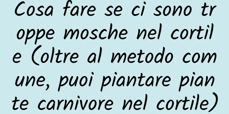 Cosa fare se ci sono troppe mosche nel cortile (oltre al metodo comune, puoi piantare piante carnivore nel cortile)