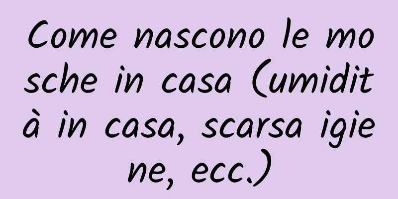 Come nascono le mosche in casa (umidità in casa, scarsa igiene, ecc.)
