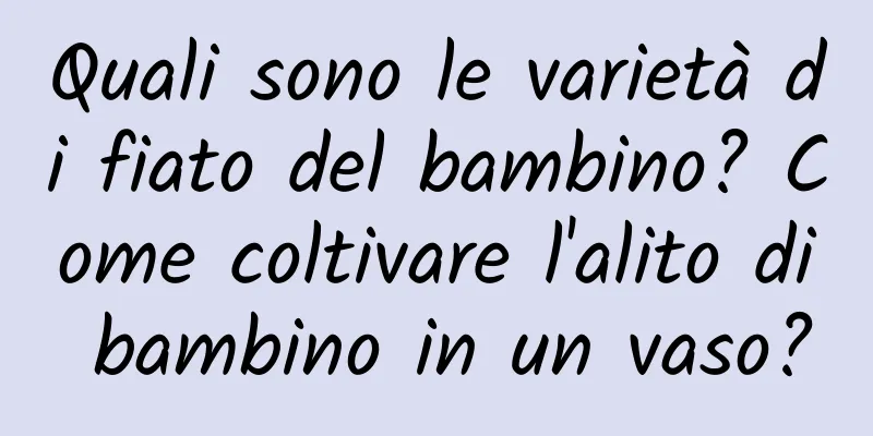 Quali sono le varietà di fiato del bambino? Come coltivare l'alito di bambino in un vaso?