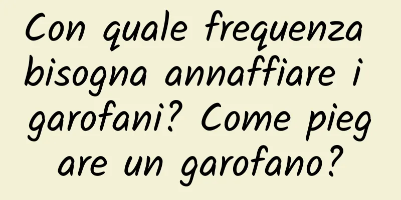 Con quale frequenza bisogna annaffiare i garofani? Come piegare un garofano?