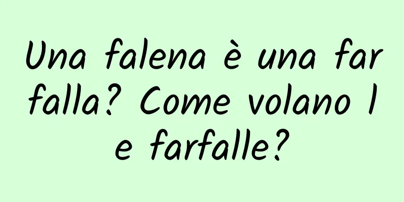 Una falena è una farfalla? Come volano le farfalle?