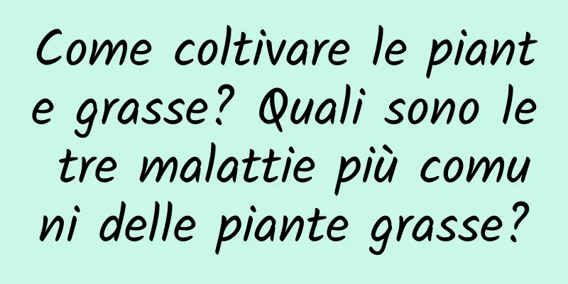 Come coltivare le piante grasse? Quali sono le tre malattie più comuni delle piante grasse?