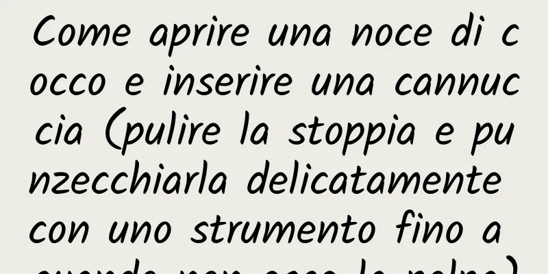 Come aprire una noce di cocco e inserire una cannuccia (pulire la stoppia e punzecchiarla delicatamente con uno strumento fino a quando non esce la polpa)
