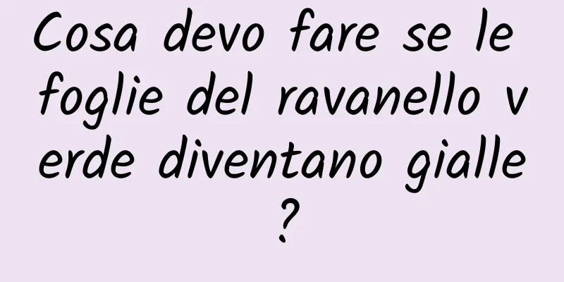 Cosa devo fare se le foglie del ravanello verde diventano gialle?