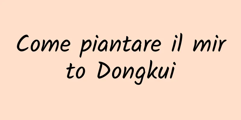 Come piantare il mirto Dongkui