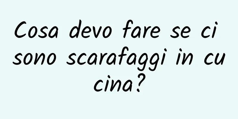 Cosa devo fare se ci sono scarafaggi in cucina?
