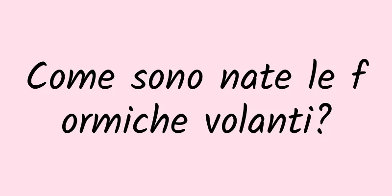 Come sono nate le formiche volanti?